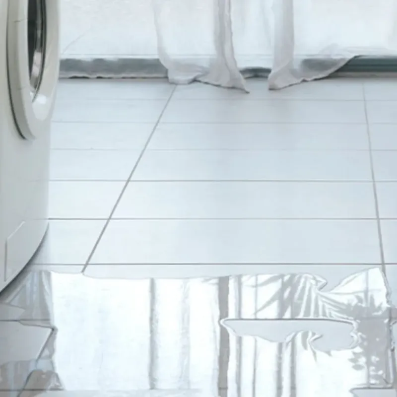 Appliance Leak Cleanup in Fayette County, TX
