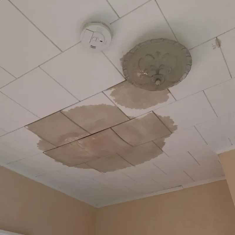 Ceiling Water Damage Repair in Fayette County, TX