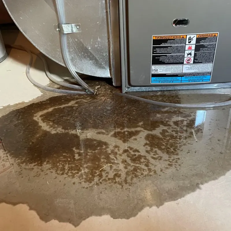 Pipe Burst and Leak Restoration in Fayette County, TX